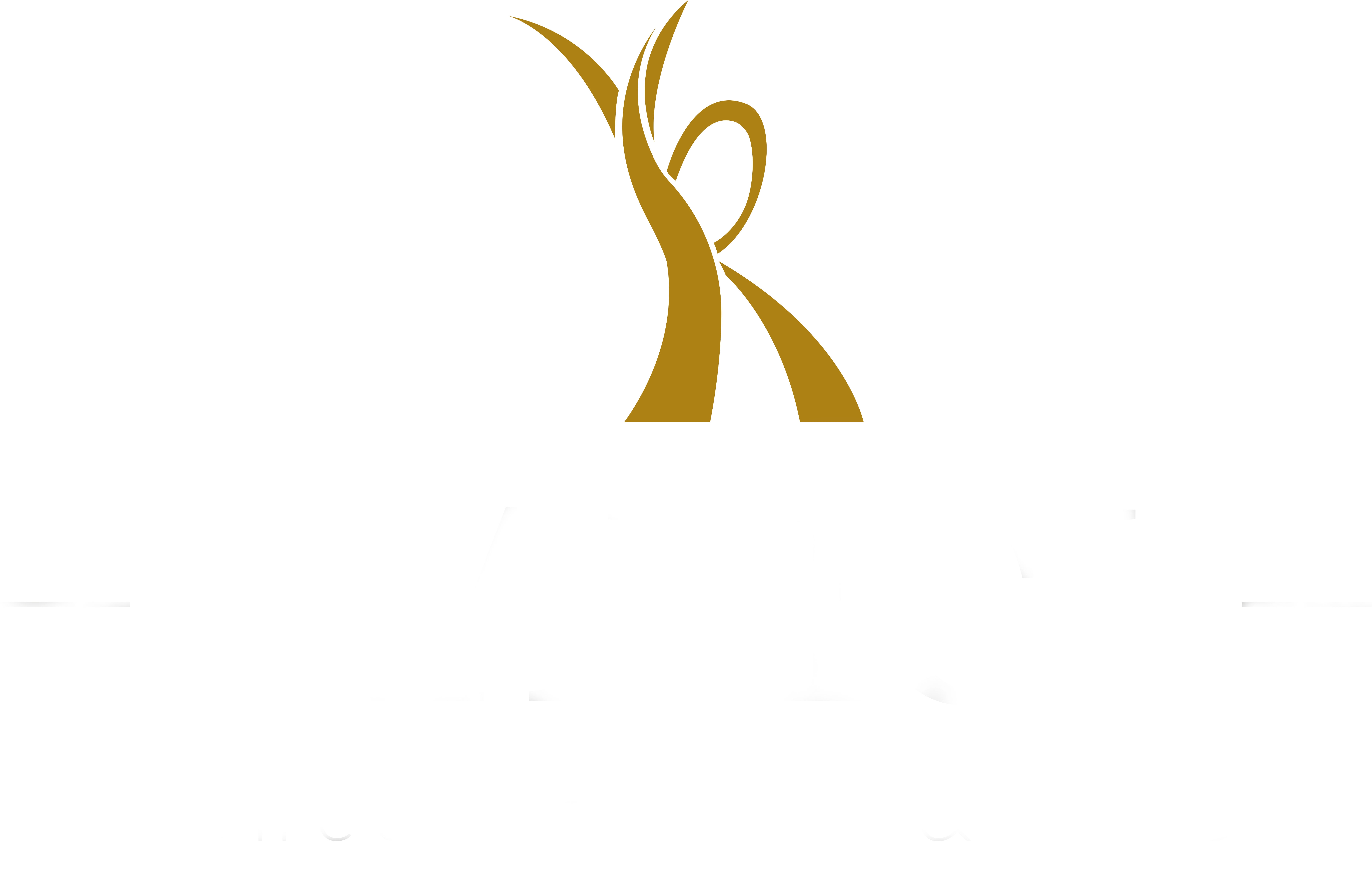 Radici